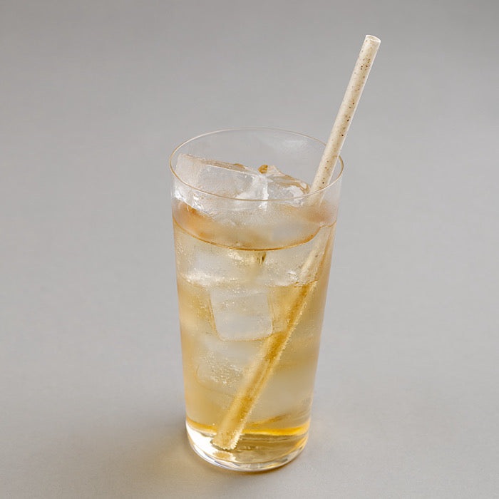 海老名_ジンジャーエール