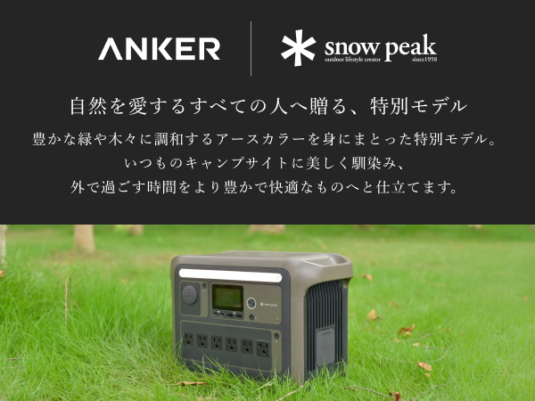 Portable Power Station 1000