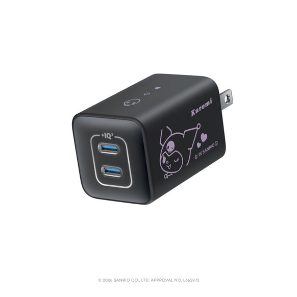 サンリオキャラクターズ 限定デザイン USB急速充電器 47W
