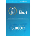 Soundcore V20i