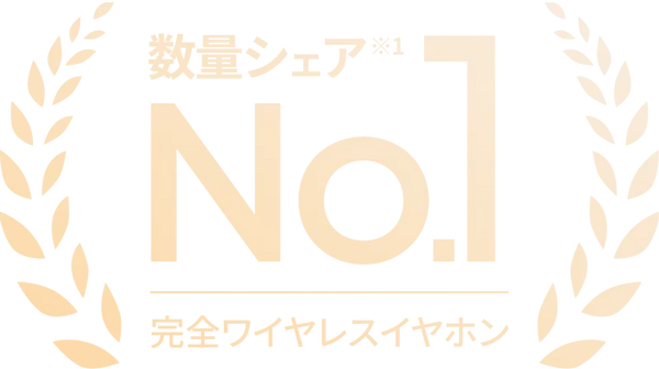 完全ワイヤレスイヤホン 数量シェア No.1