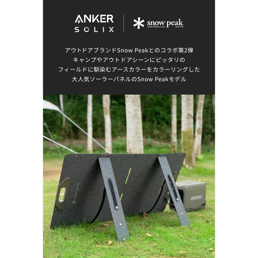 Portable Solar Panel 100 サブ画像1