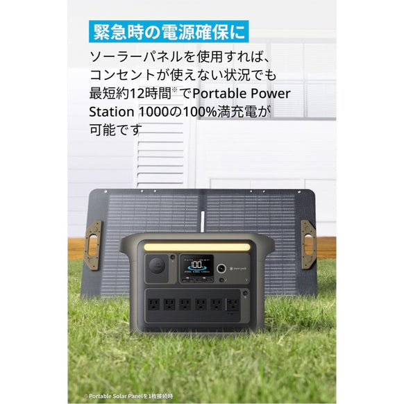 Portable Solar Panel 100