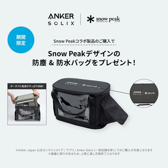 Portable Power Station 1000