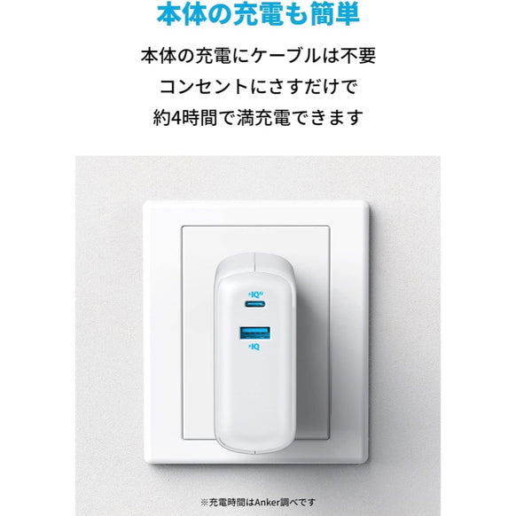 【予約受付終了】10周年オリジナルデザイン Anker PowerCore Fusion 10000