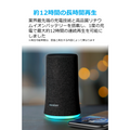 Soundcore Flare