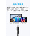 Anker PowerLine+ II USB-C & USB-A ケーブル (USB2.0対応) 1.8m