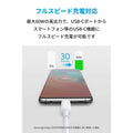 Anker PowerLine III USB-C & USB-C ケーブル (USB2.0対応) 3.0m