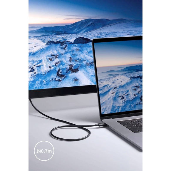 Anker USB-C & USB-C Thunderbolt 4 100W ケーブル 0.7m