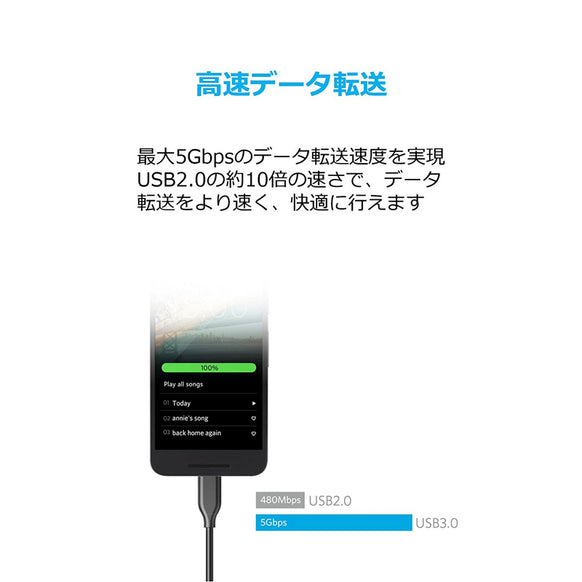 Anker PowerLine USB-C & USB-A ケーブル (USB3.0対応) 0.9m 3本セット