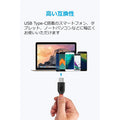 Anker PowerLine+ USB-C & USB-A ケーブル (USB2.0対応) 3.0m 2本セット